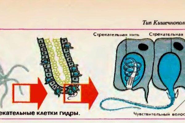 Как выводить деньги с кракена