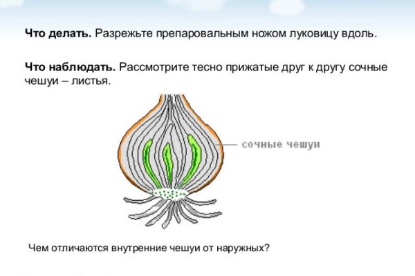 Кракен даркнет официальный сайт