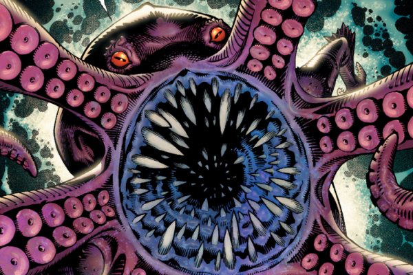 Kraken 24 at