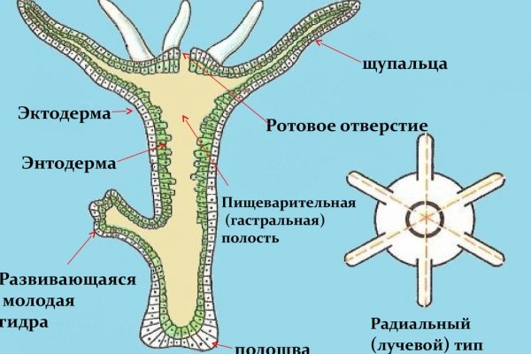 Какая сейчас ссылка на кракен