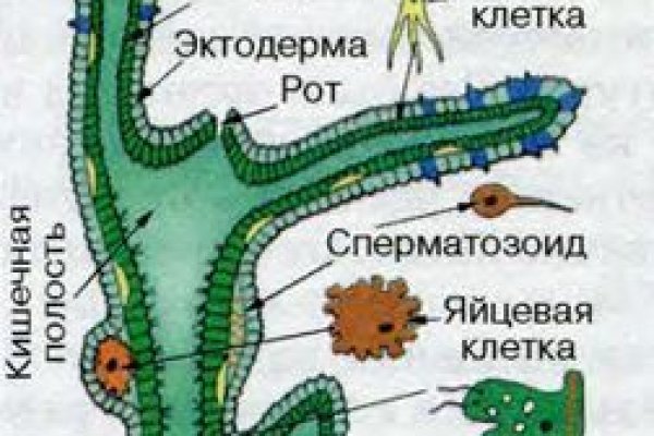 Действующие ссылки на кракен