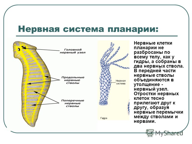 Кракен маркет зайти
