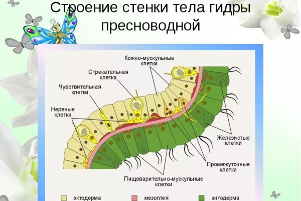 Как зайти на кракен с айфона