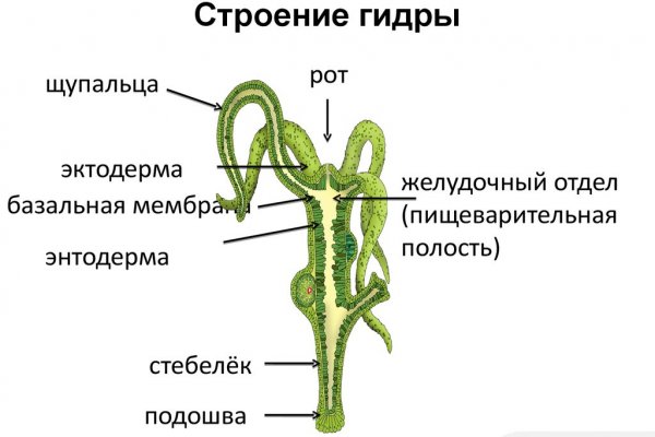 Кракен сайт 1kraken me вход