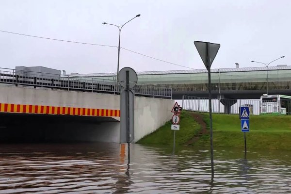 Кракен гидра