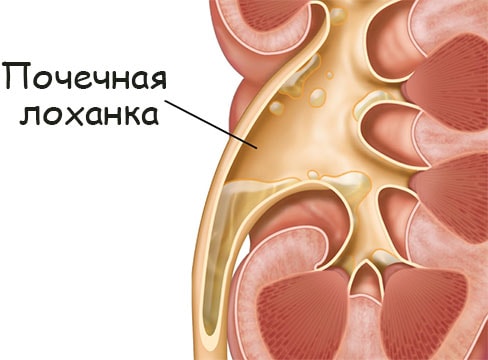 Кракен 12at сайт