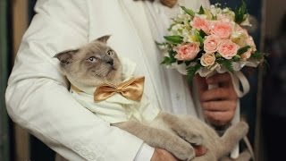 Кракен даркнет ссылка зеркало